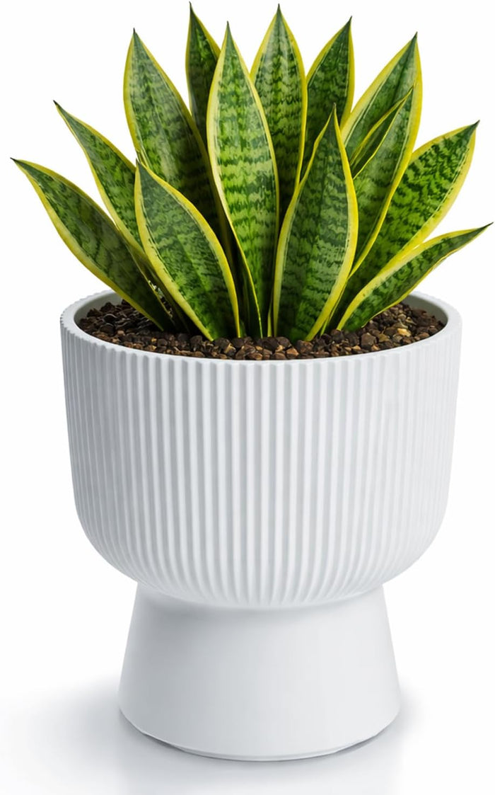 Prosperplast Blumentopf Milly 23,9 x 30,5 cm, Blumentopf inkl. Pflanzeinsatz, weiß, aus Kunststoff, für Innen- und Außenbereich, Frostbeständig und UV-Beständig