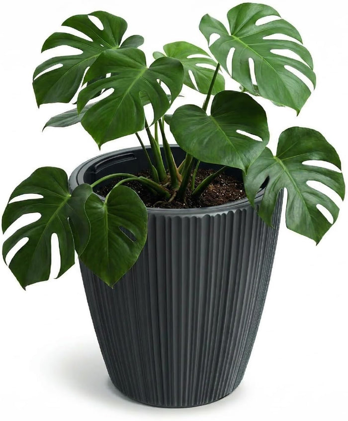 Prosperplast Blumentopf ORO 39 x 40 cm dunkelgrau mit herausnehmbarem Pflanzeinsatz – Kunststoff Pflanzgefäß für Innen & Außen | modern, robust | ideal Balkon & Terrasse